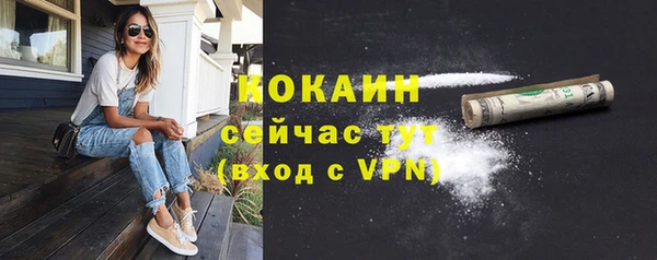 мдпв Лагань
