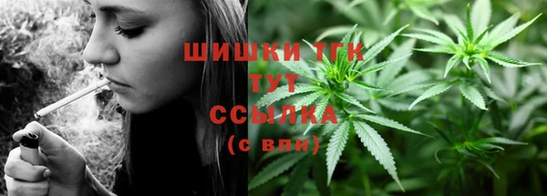 мдпв Лагань