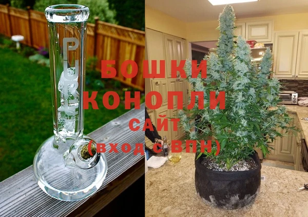 прущие грибы Лихославль