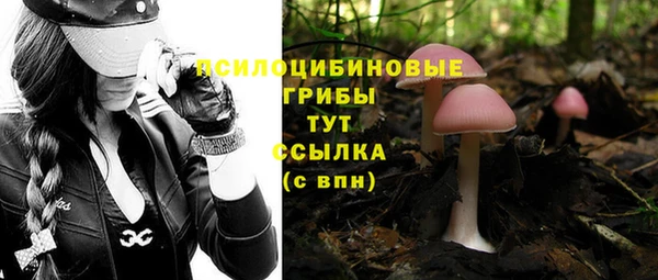мдпв Лагань